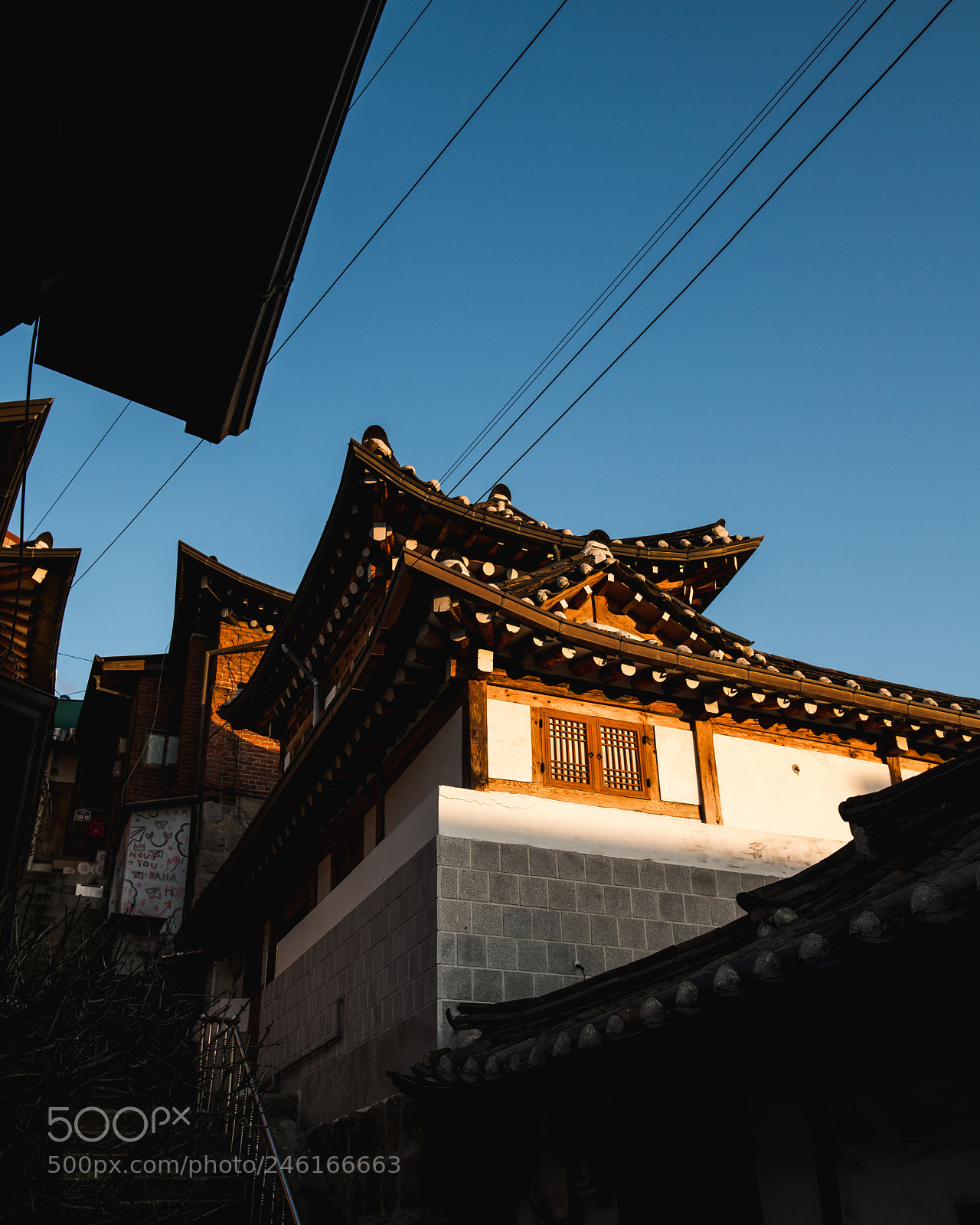 Nikon D850 sample photo. Beautiful seoul. photography