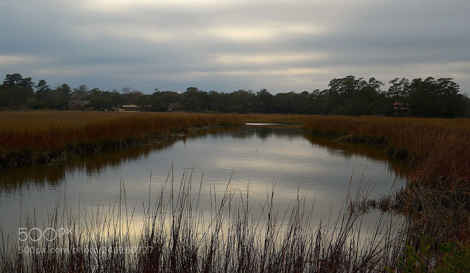 Nikon D5100 sample photo. Tidal creek, marsh and photography