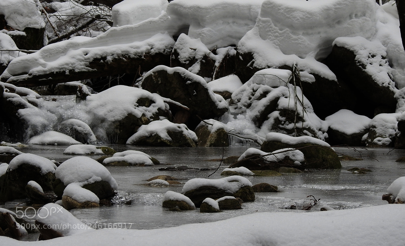 Nikon Coolpix P900 sample photo. Winter am bach photography