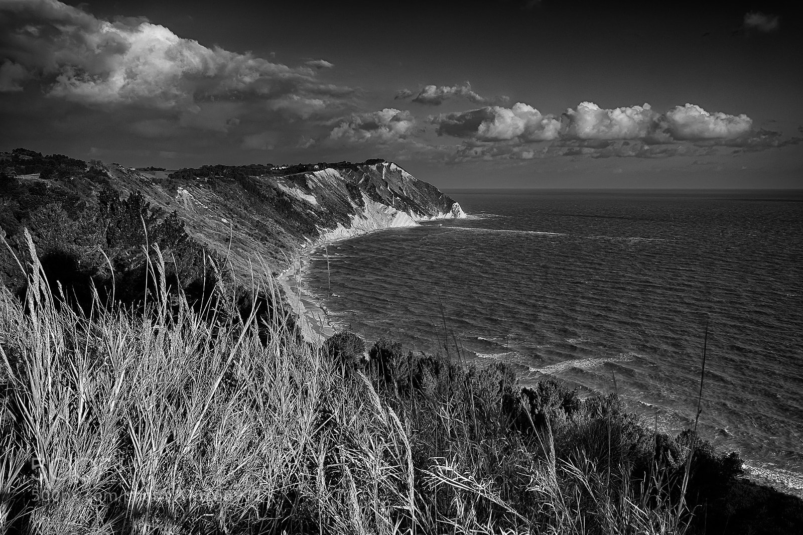 Sony a7 sample photo. Black and white bay photography