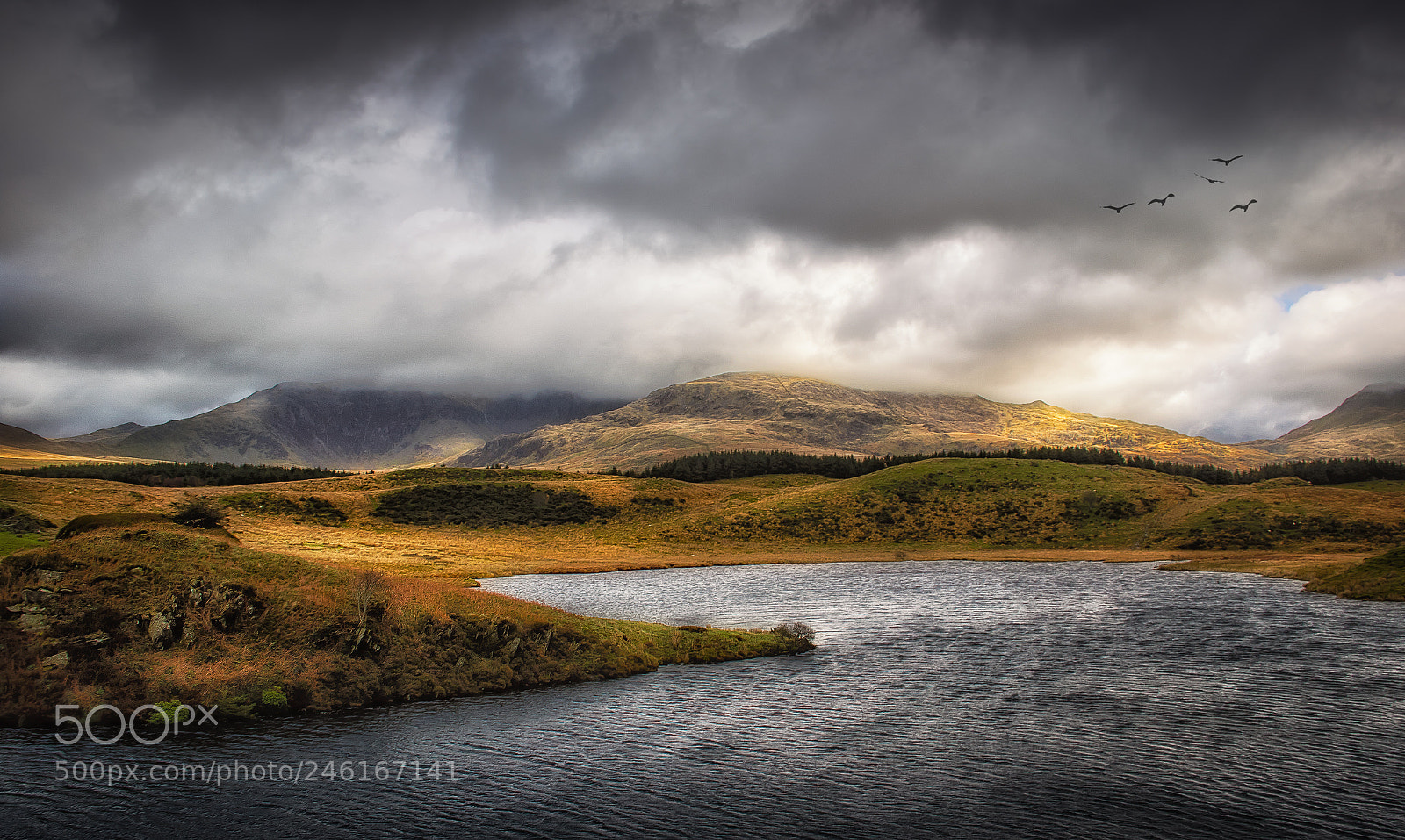 Canon EOS 7D Mark II sample photo. Snowdonia photography