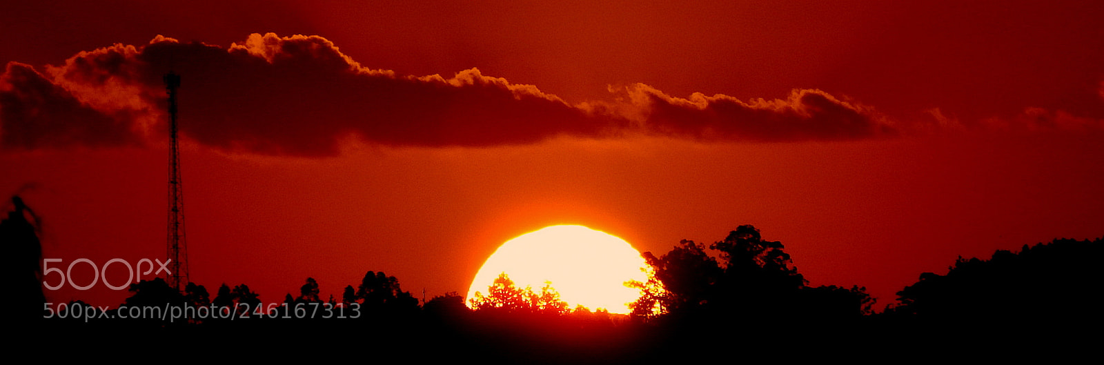 Fujifilm FinePix SL1000 sample photo. Magic hour photography