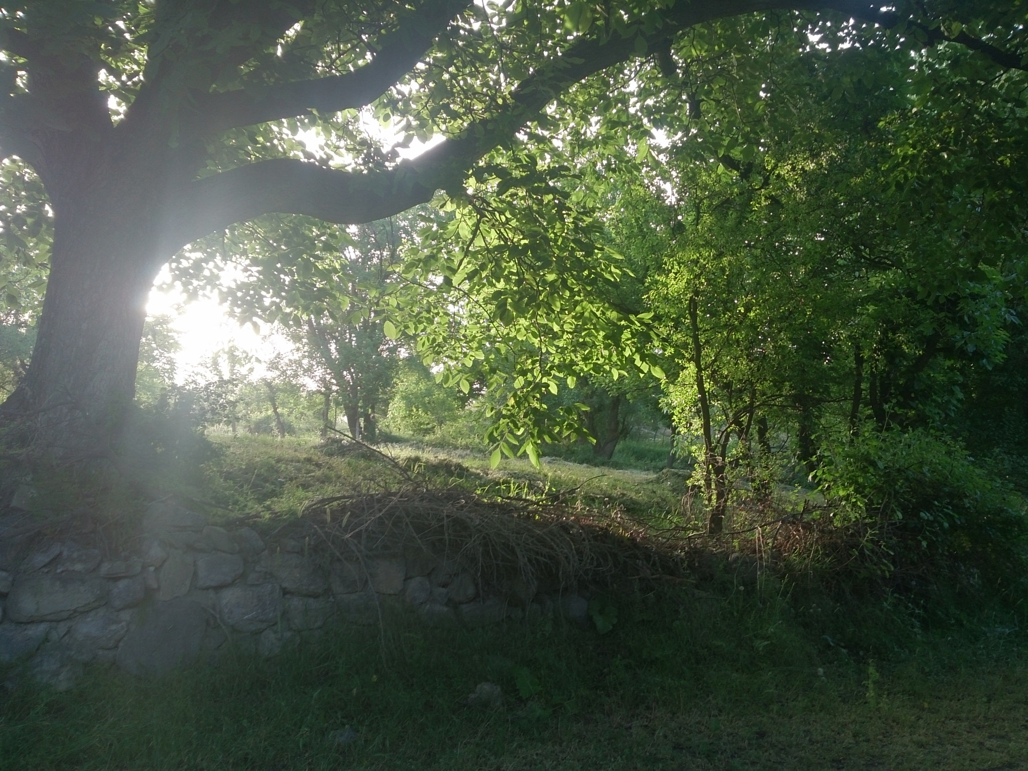 Sony Xperia Z sample photo. Dsc photography