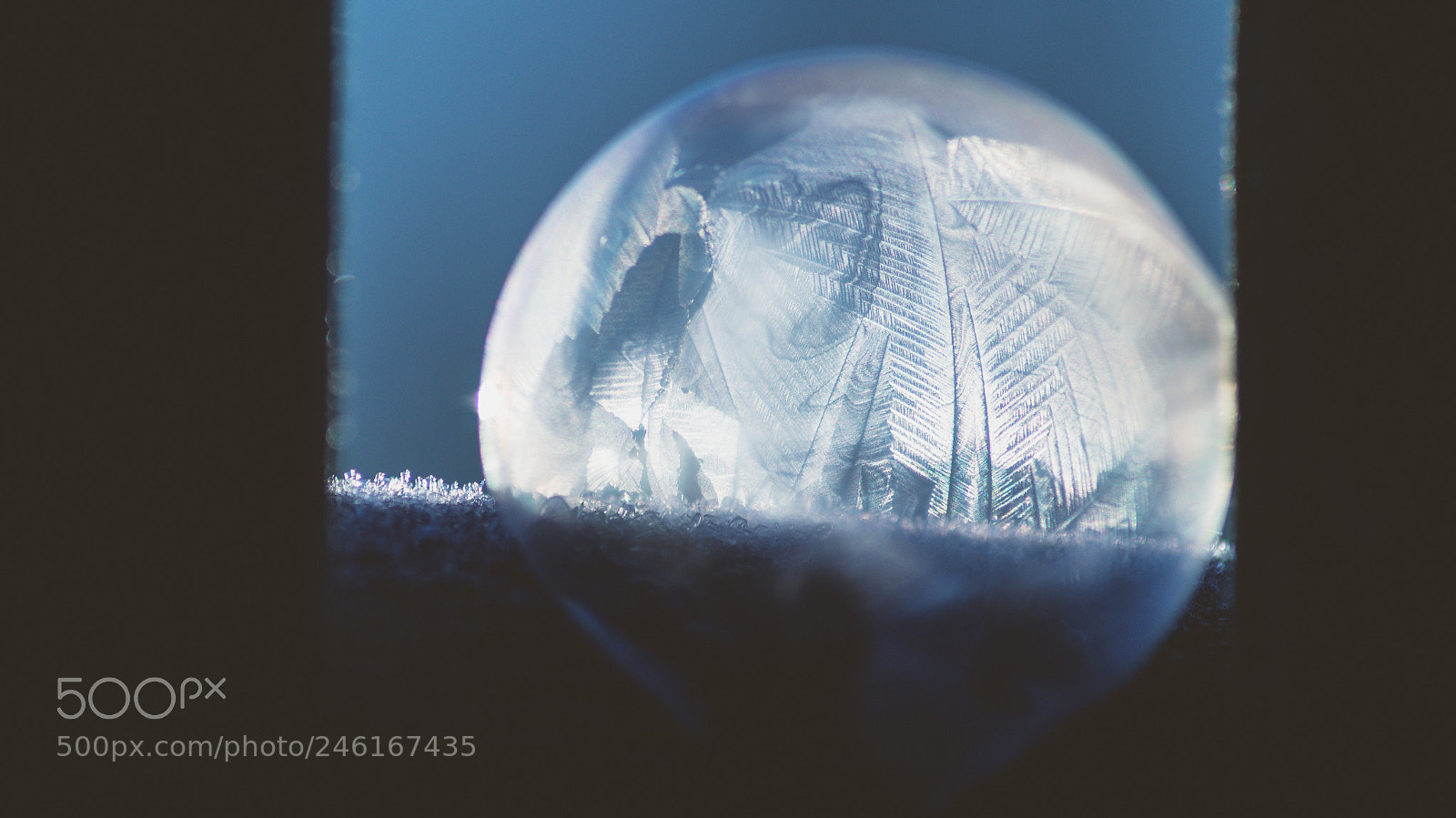 Sony SLT-A57 sample photo. Frozen bubble photography