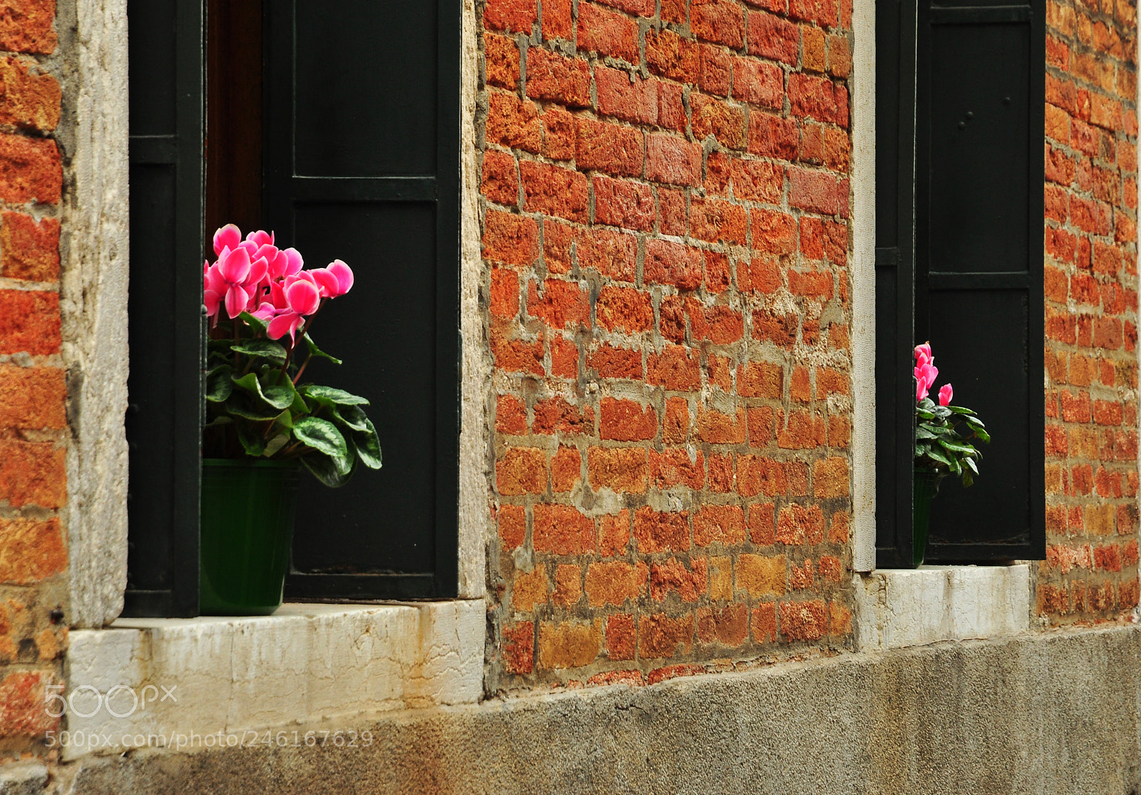 Nikon D90 sample photo. Wall, window, flower photography