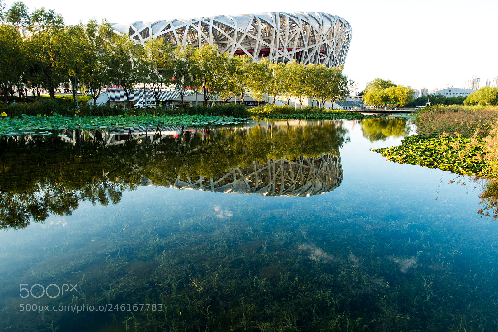 Sony Cyber-shot DSC-RX100 III sample photo. Birds nest, beijing, china photography