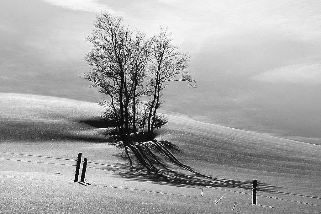 Sony ILCA-77M2 sample photo. Winter landscape in jura photography