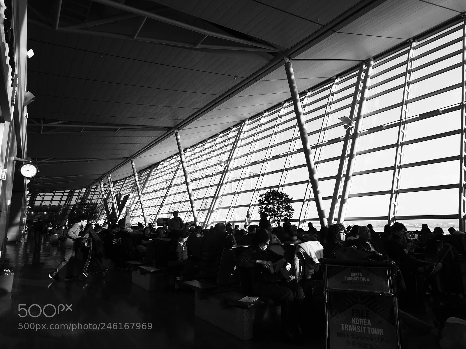 Olympus PEN E-P5 sample photo. Morning departure photography