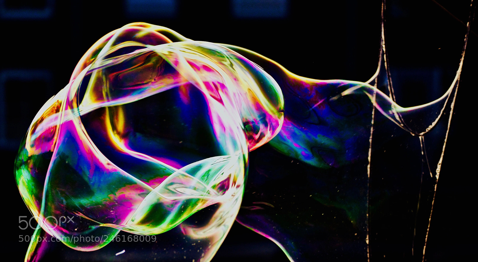 Nikon D800 sample photo. The colors of a photography