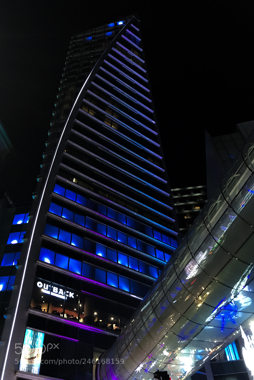 Apple iPhone 7 sample photo. Blue at night photography
