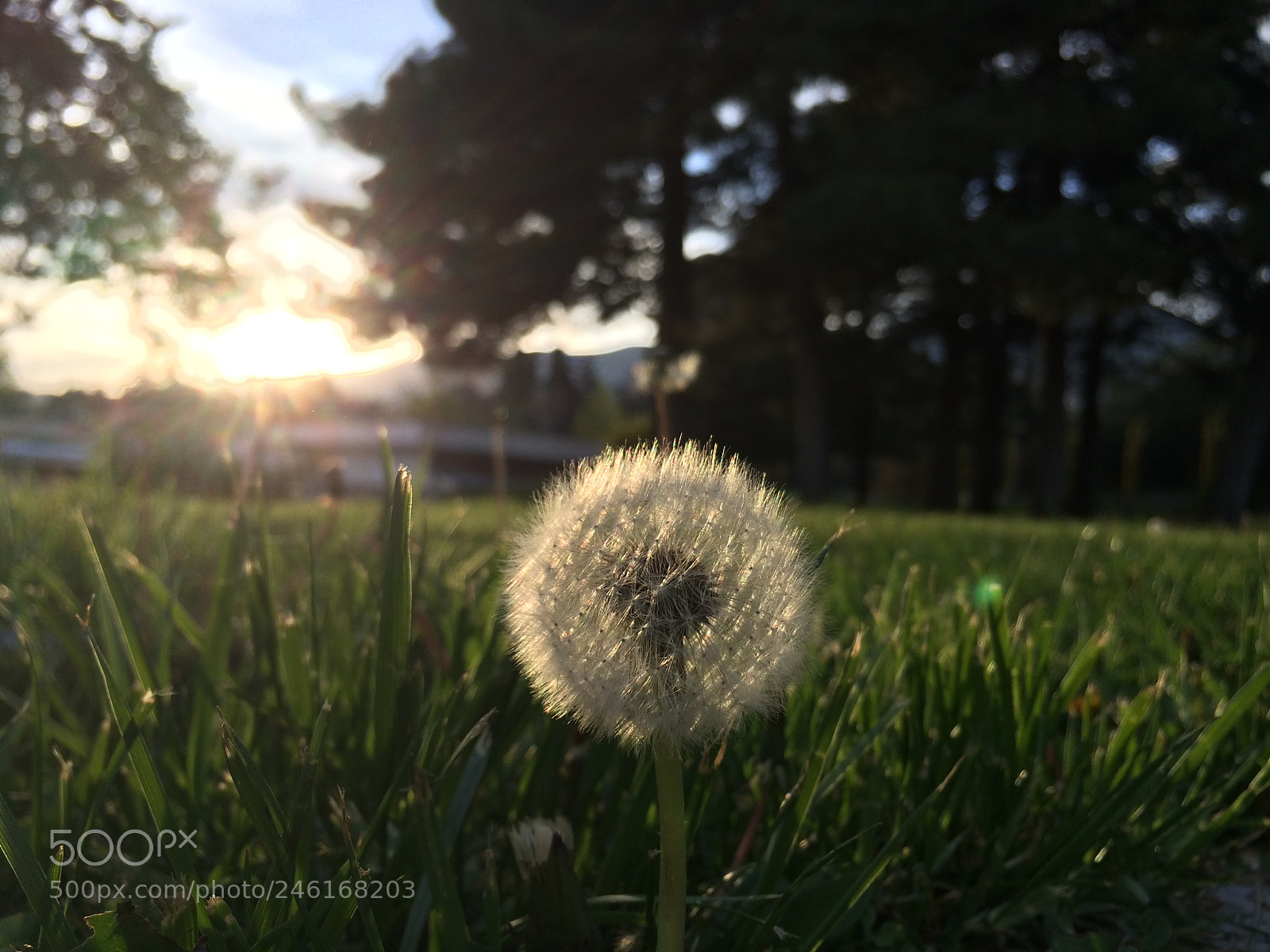Apple iPhone 5s sample photo. Untitled photography