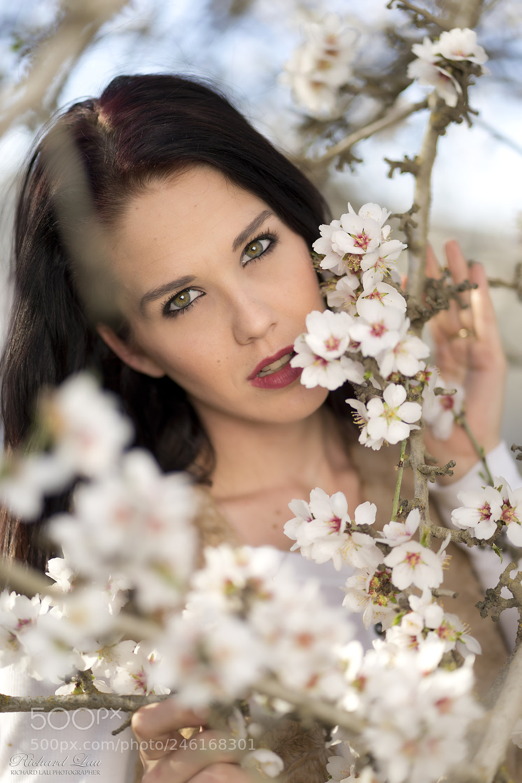 Sony a7 II sample photo. Almond blossom photography