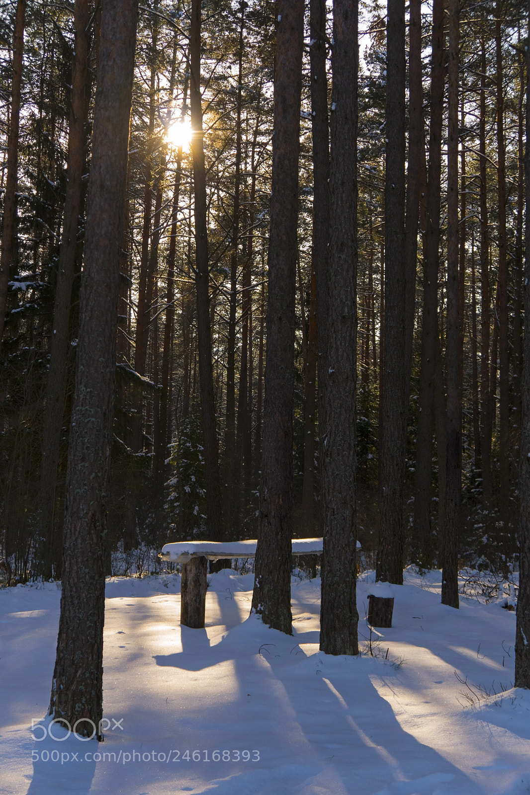 Sony a6500 sample photo. Тихое местечко photography