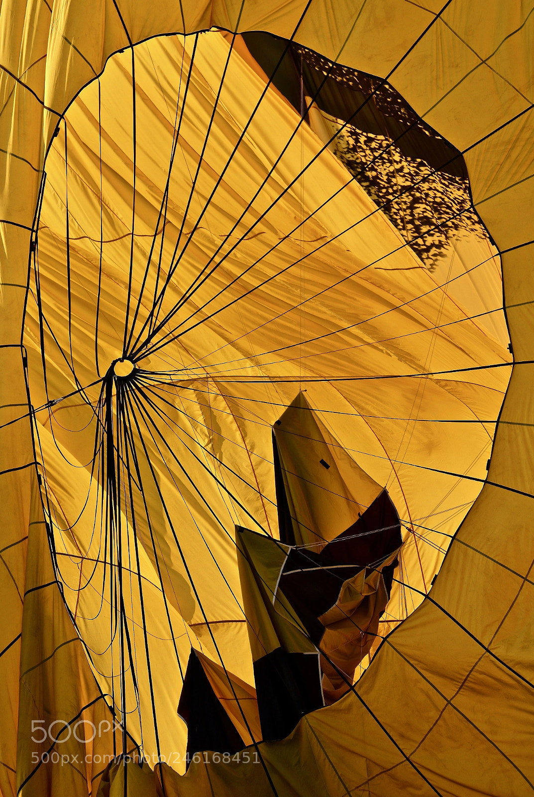 Nikon D800 sample photo. Inside a hot air photography