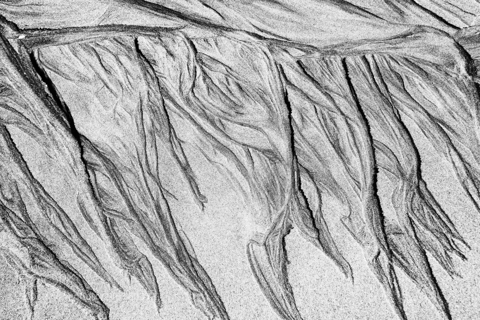Nikon D800 sample photo. Pattern in sand photography