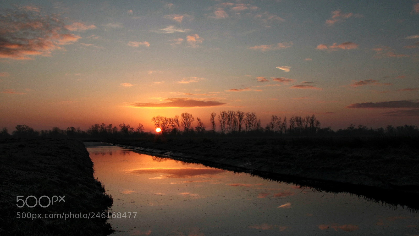 Canon EOS-1D Mark IV sample photo. Untitled photography