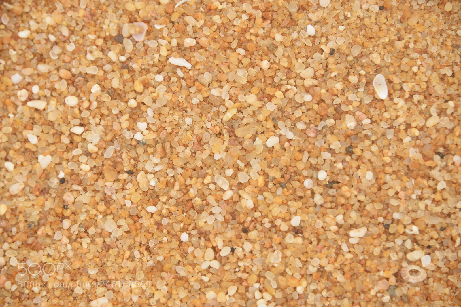 Nikon D800 sample photo. Beach sand - ghana photography