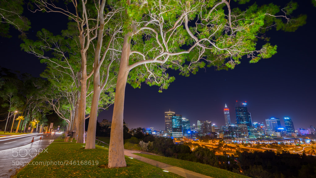 Sony a7R sample photo. Perth!!! photography