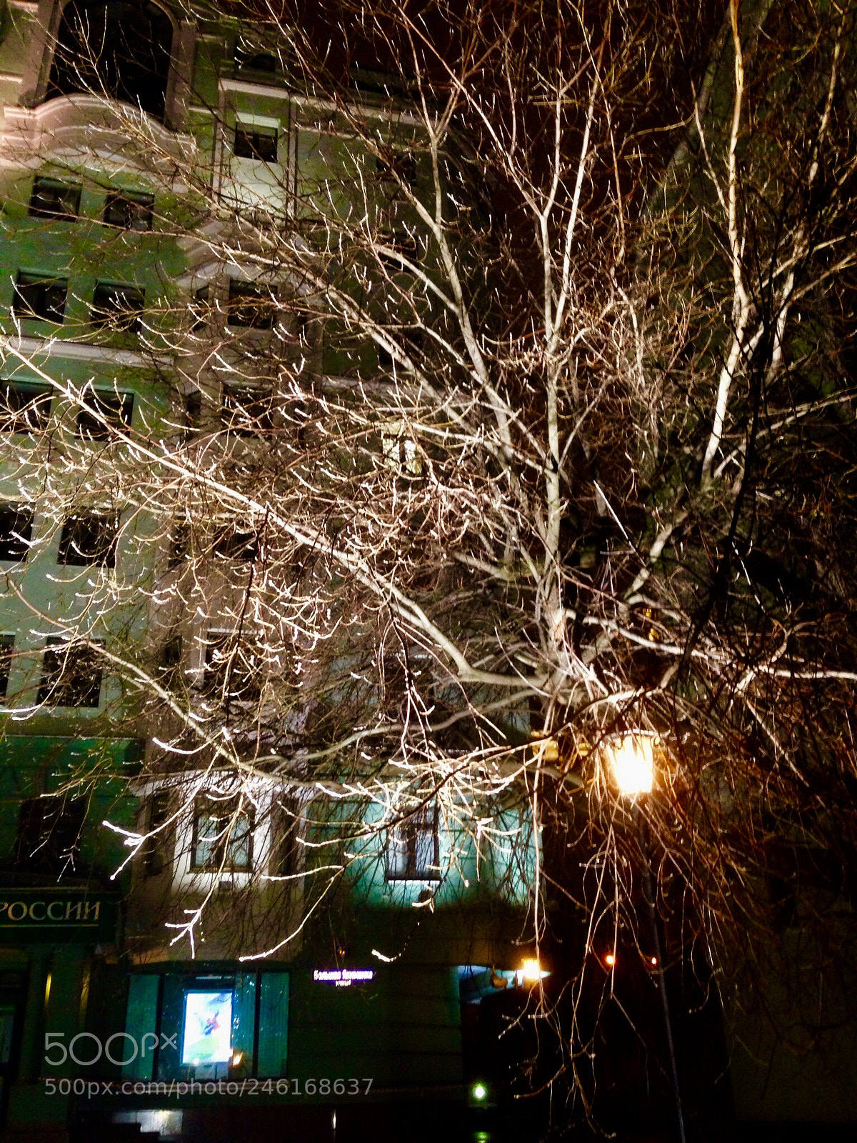 Apple iPhone 5 sample photo. Вечер photography