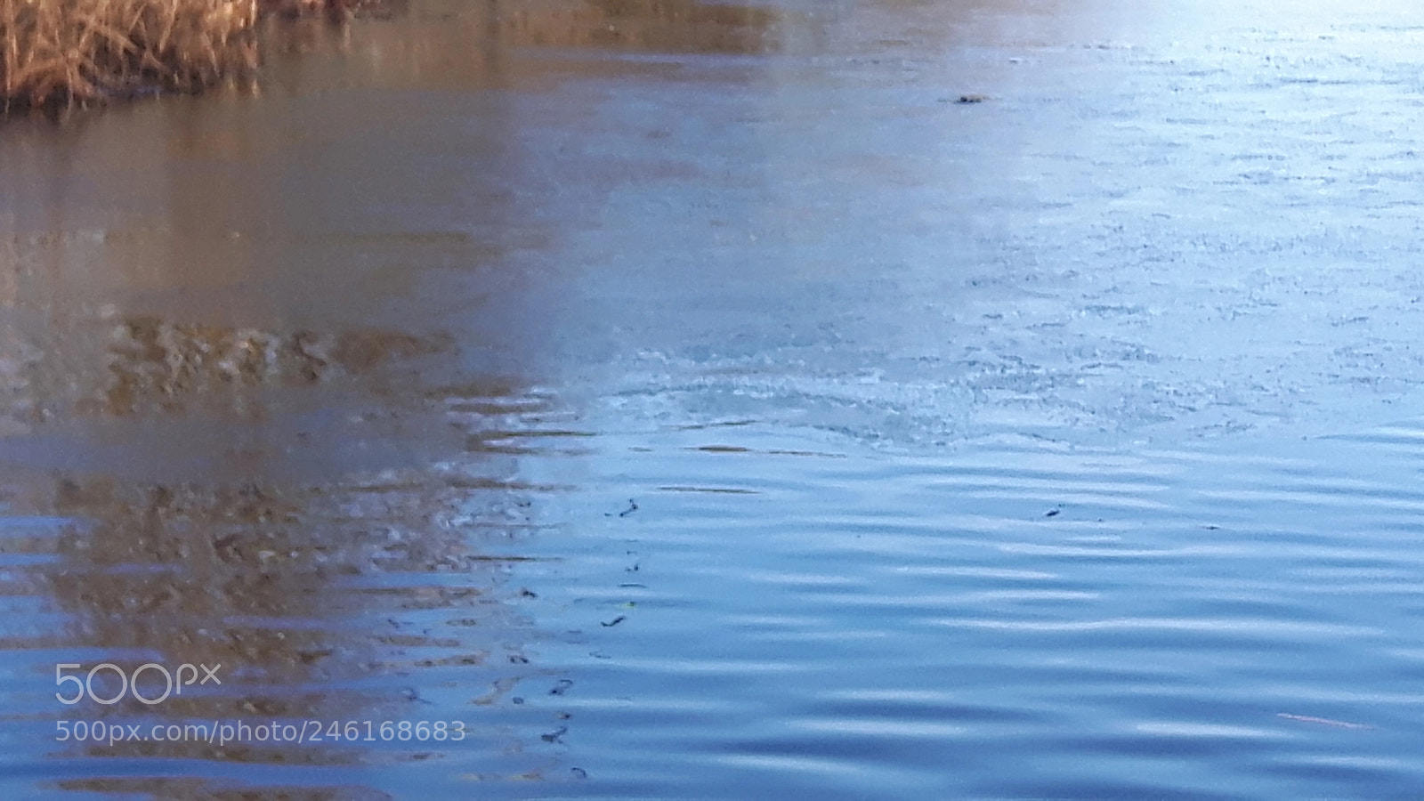 Samsung Galaxy S5 Neo sample photo. Leiden city photography