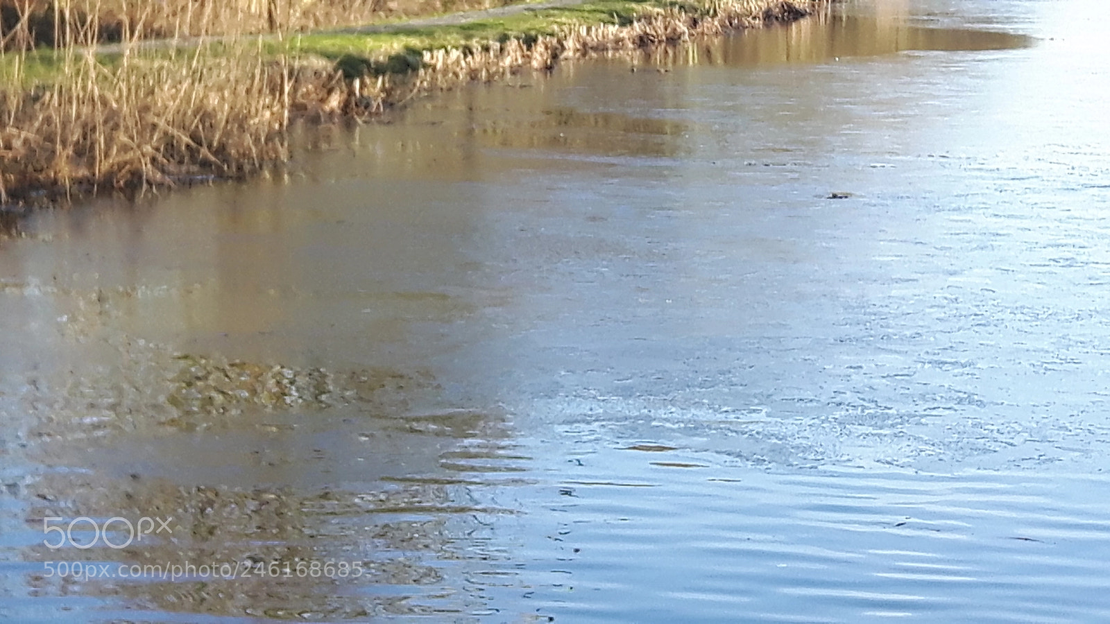 Samsung Galaxy S5 Neo sample photo. Leiden city photography