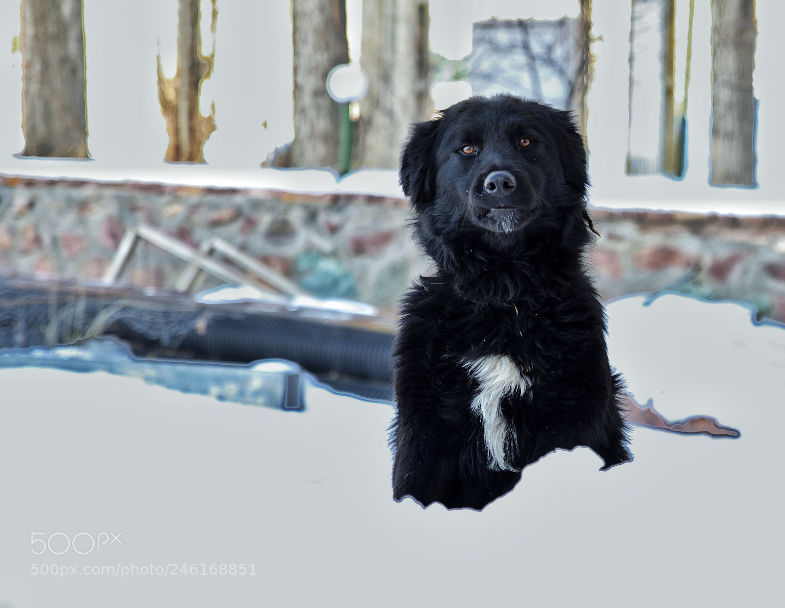 Nikon D610 sample photo. Pose photography