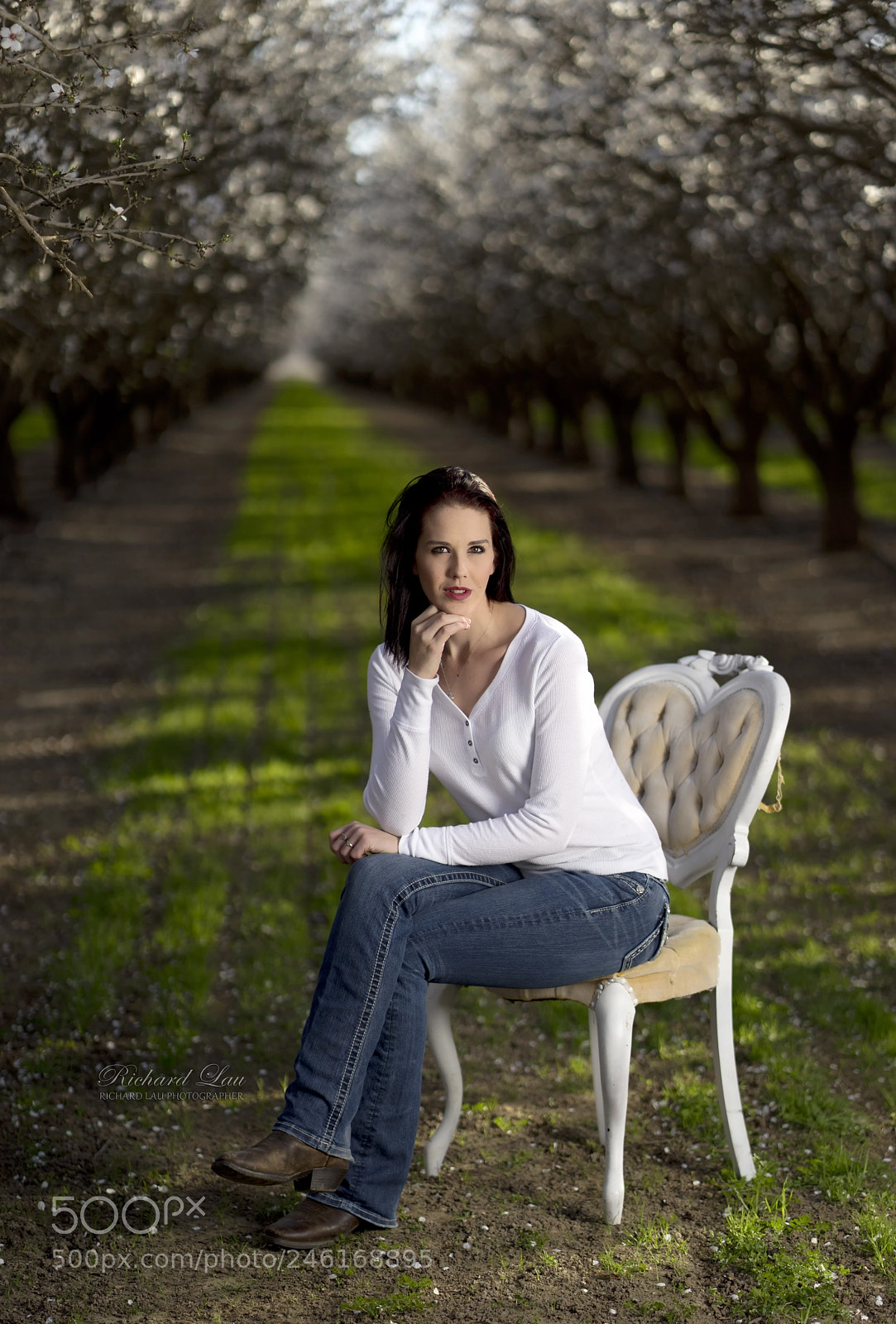 Sony a7 II sample photo. Almond orchard photography