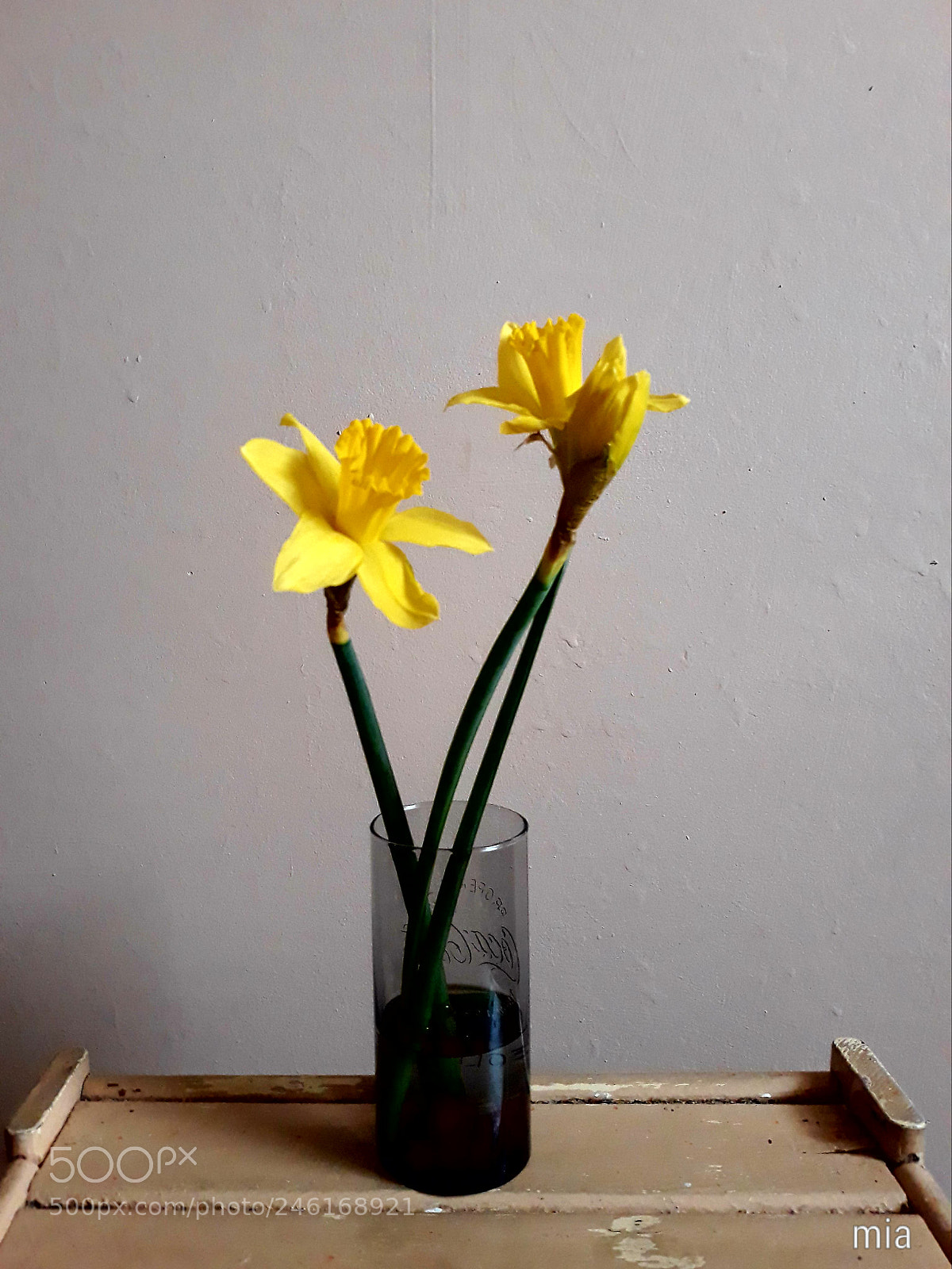 Samsung Galaxy J7 sample photo. #yellowbloom photography