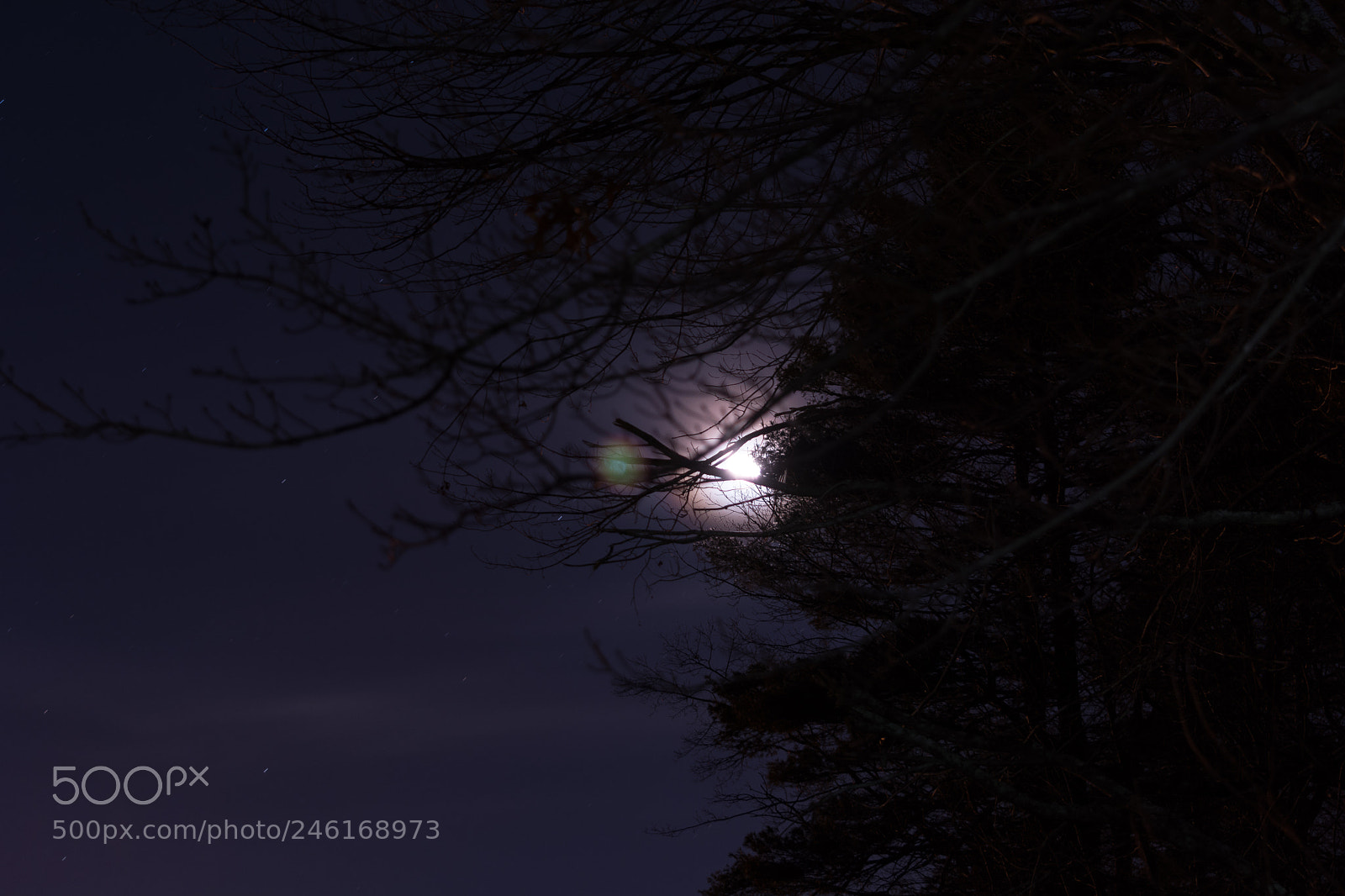 Nikon D7100 sample photo. The moon behind the photography
