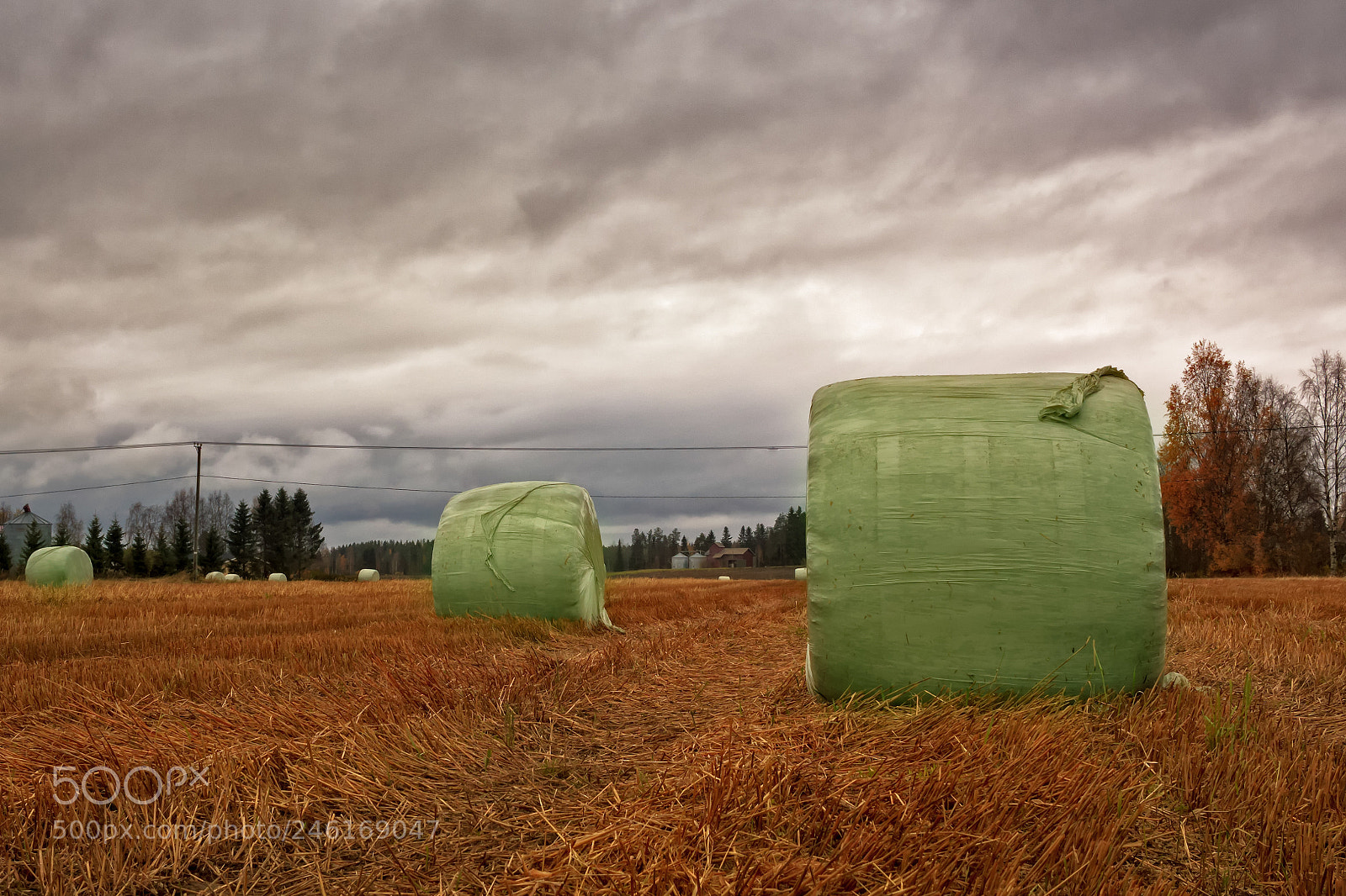 Canon EOS 50D sample photo. Hay bales wrapped in photography