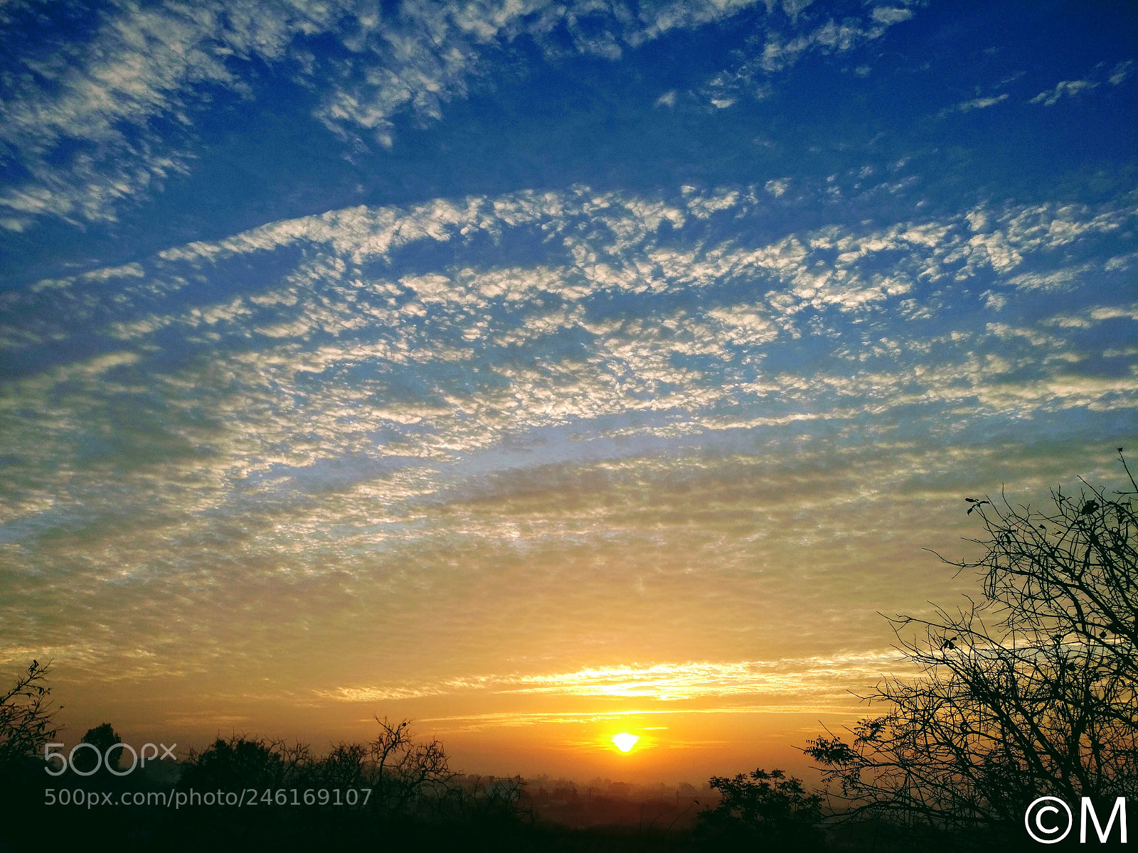 OnePlus A3003 sample photo. Morning time. photography