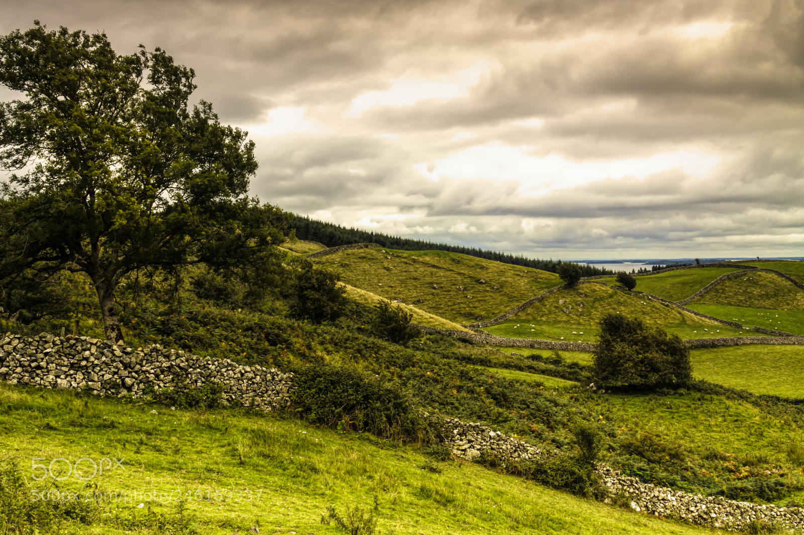 Canon EOS 50D sample photo. Galway photography