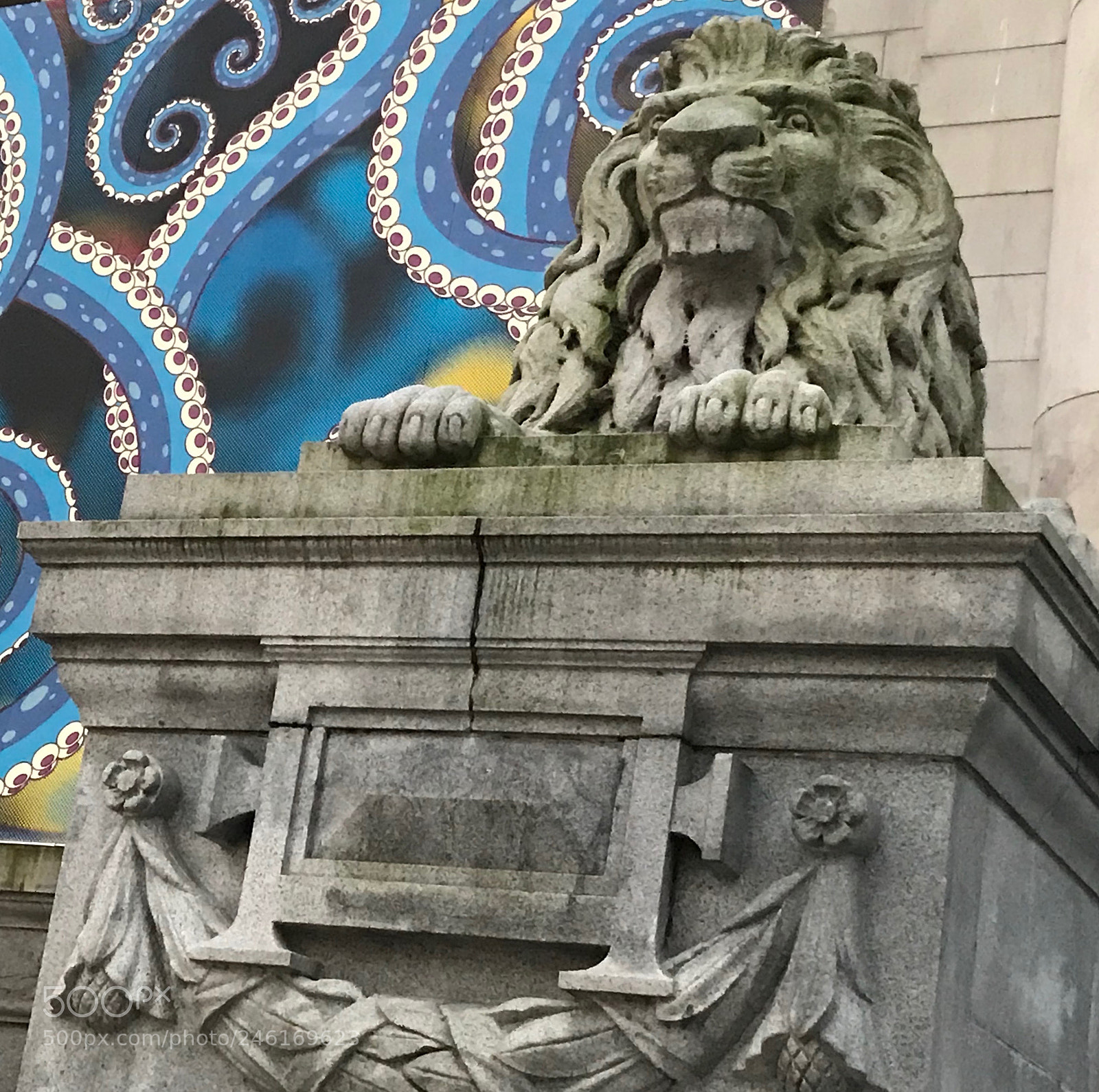 Apple iPhone 7 Plus sample photo. Lion photography