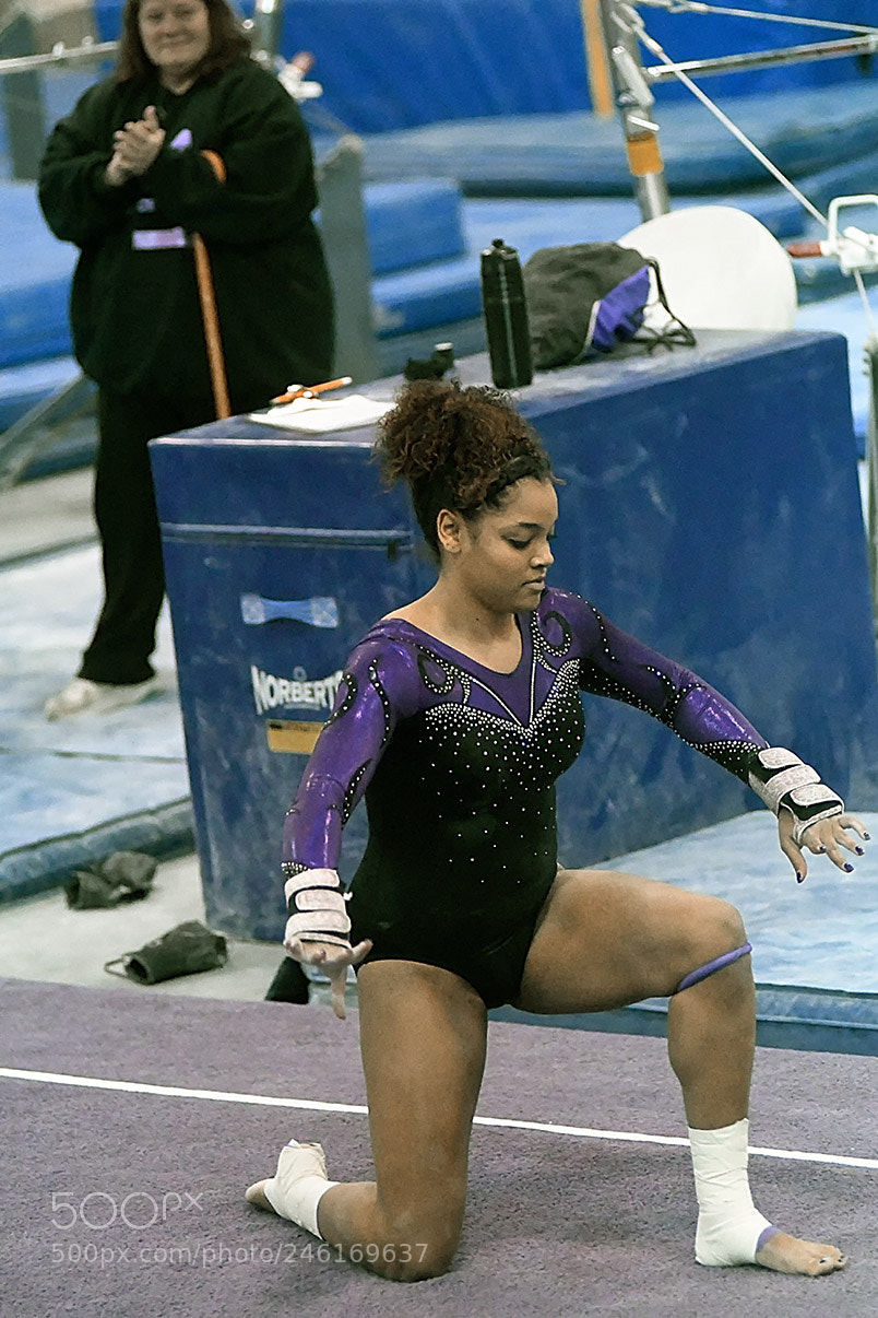 Nikon D500 sample photo. 2-8_2105.jpg photography