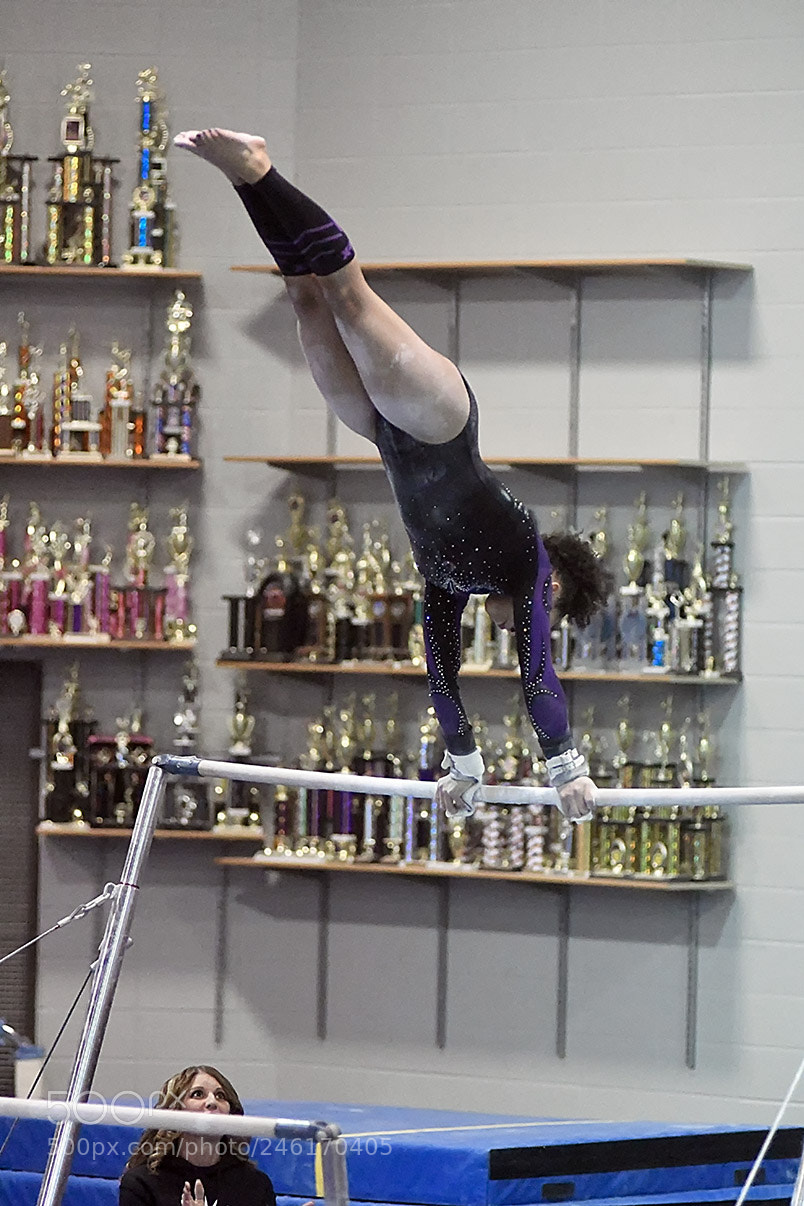 Nikon D500 sample photo. 2-8_0691.jpg photography