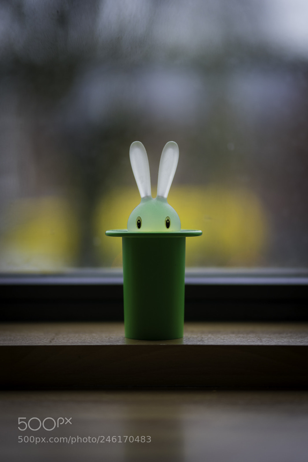 Sony a7 II sample photo. Test shot sony fe photography
