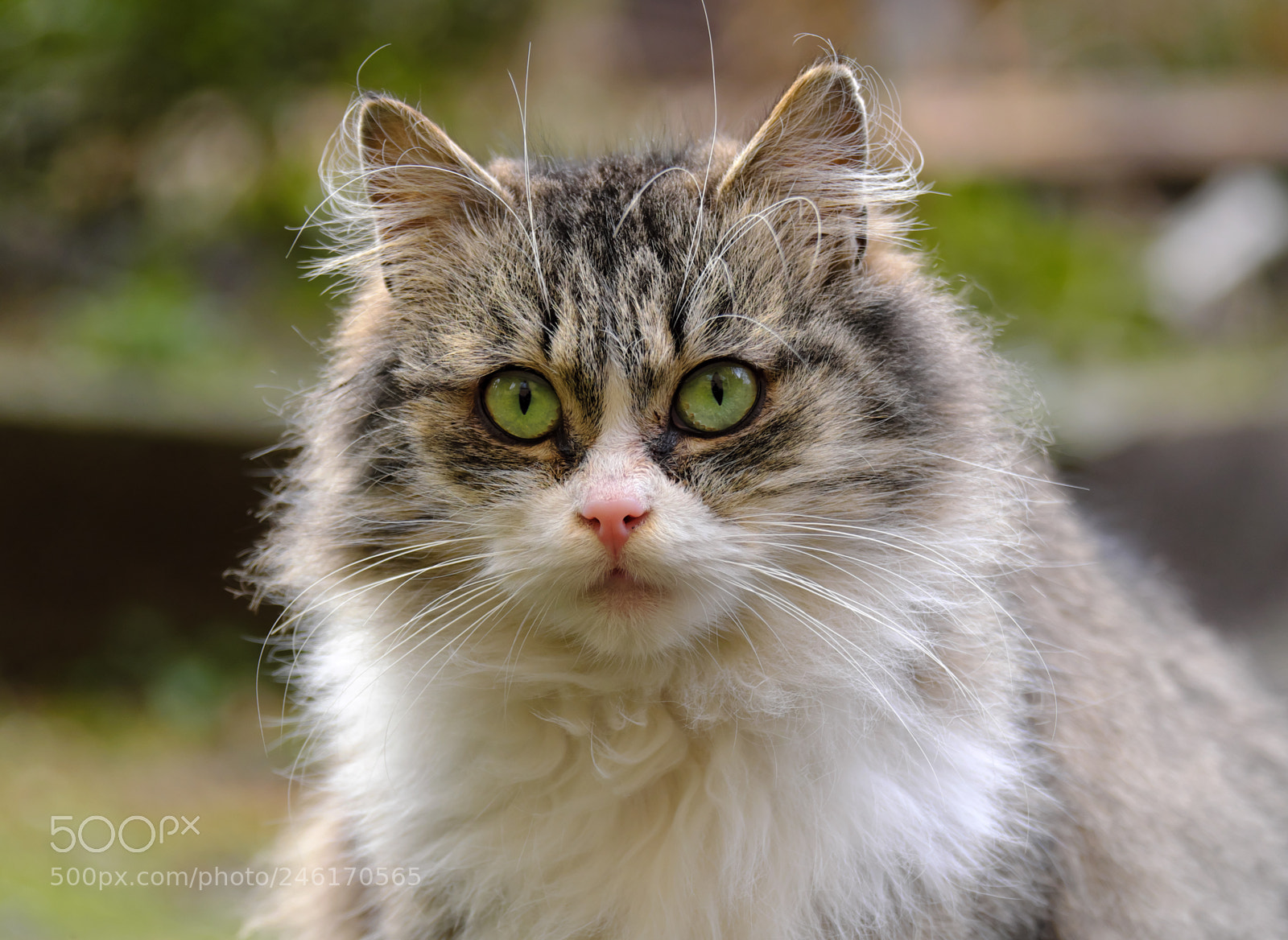 Fujifilm X-T20 sample photo. Beauty photography