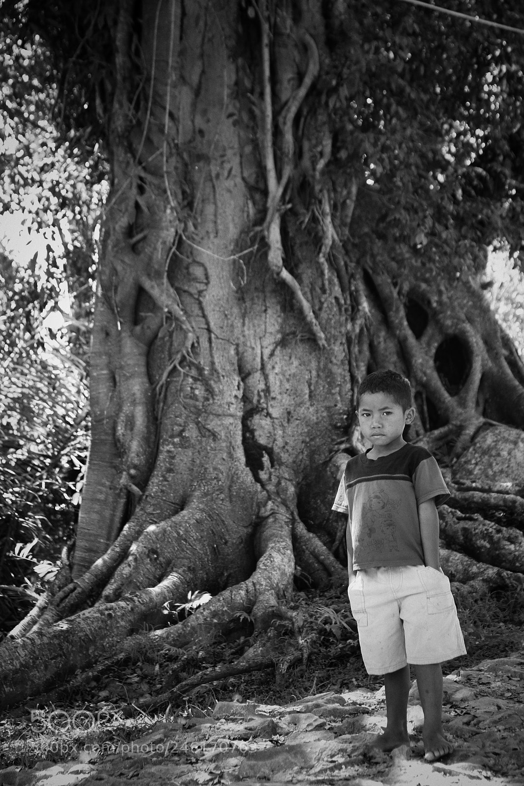 Canon EOS 60D sample photo. The boy and the photography