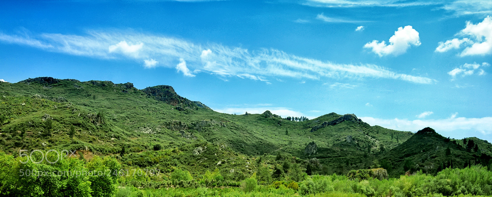 Nikon D300 sample photo. View photography