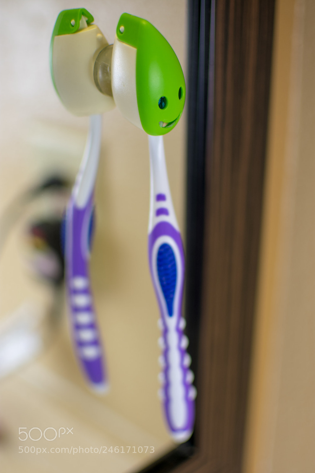 Nikon D3400 sample photo. Happy toothbrush photography