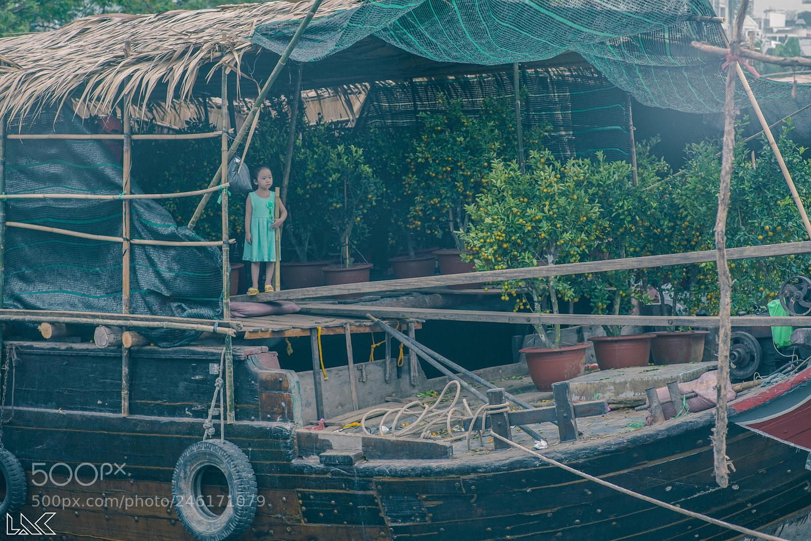 Sony a7R II sample photo. Little bossy photography