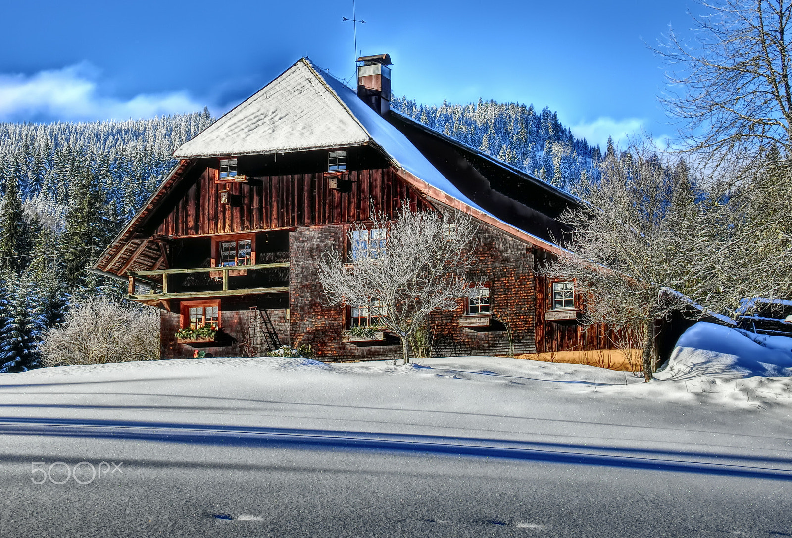 CASIO EX-100 sample photo. Black forest house photography