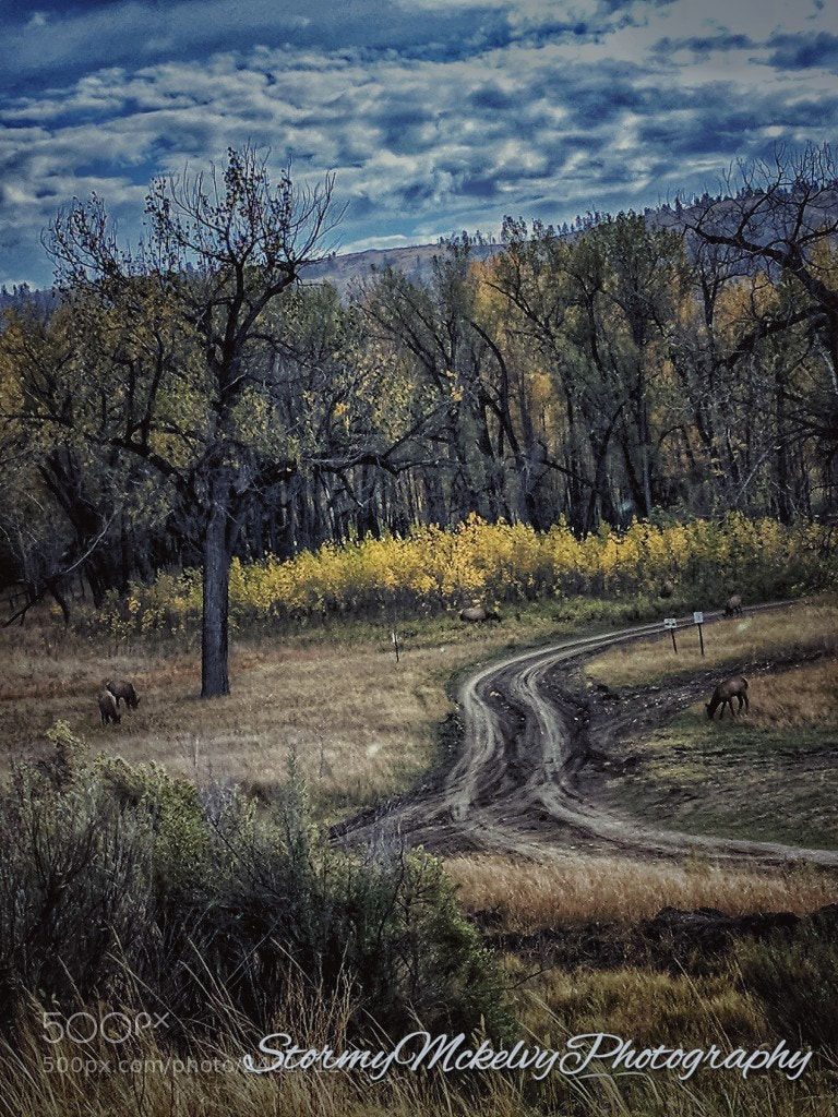 Google Pixel sample photo. Untitled photography