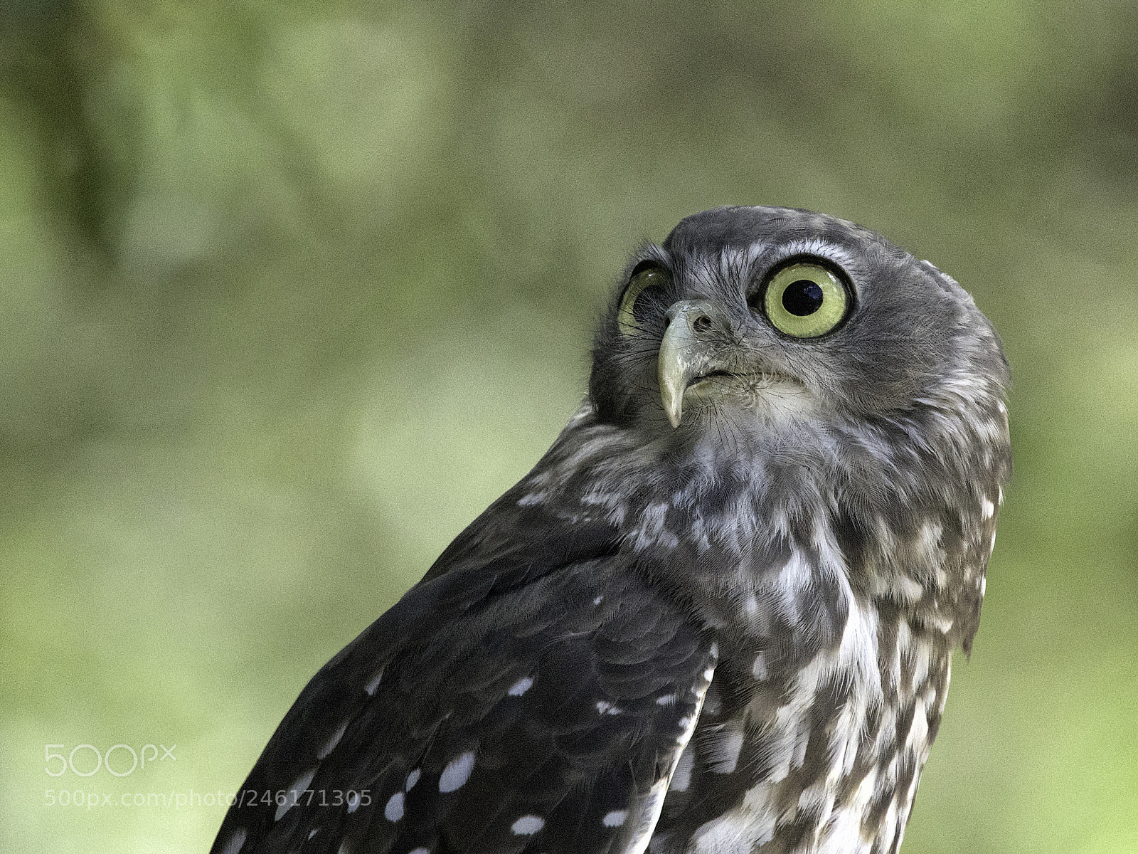Nikon D500 sample photo. What're you suggesting? photography