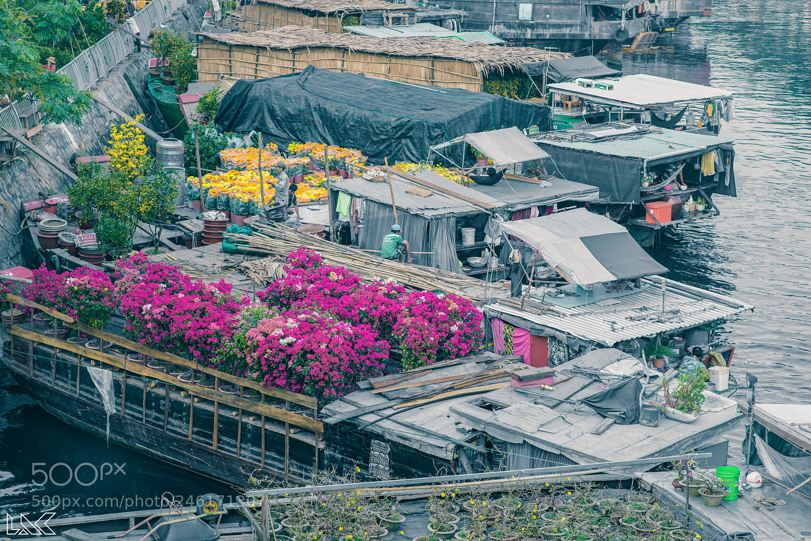 Sony a7R II sample photo. Floating flower market #1 photography