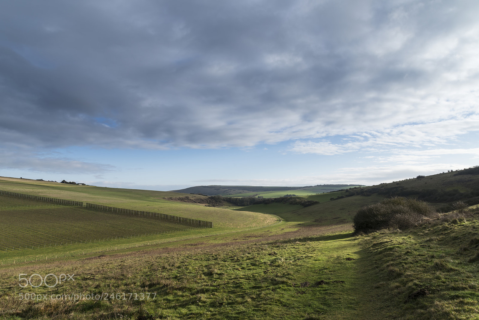 Nikon D800 sample photo. Stunning english countryside landscape photography