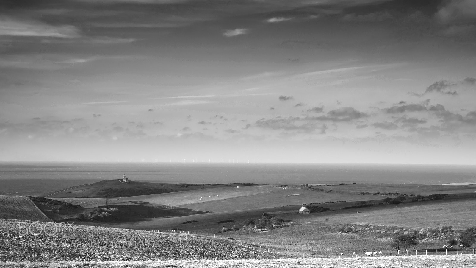 Nikon D800 sample photo. Stunning black and white photography