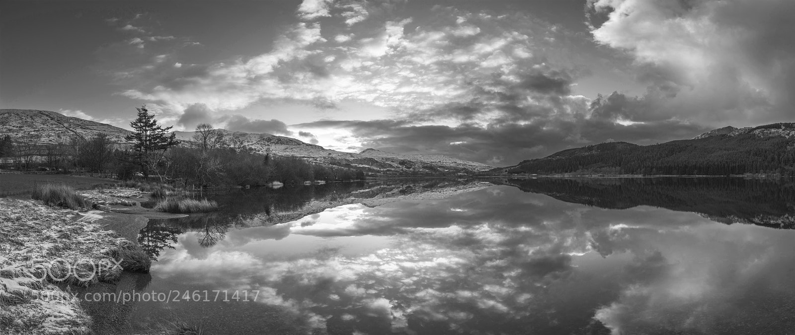 Nikon D800 sample photo. Stunning black and white photography