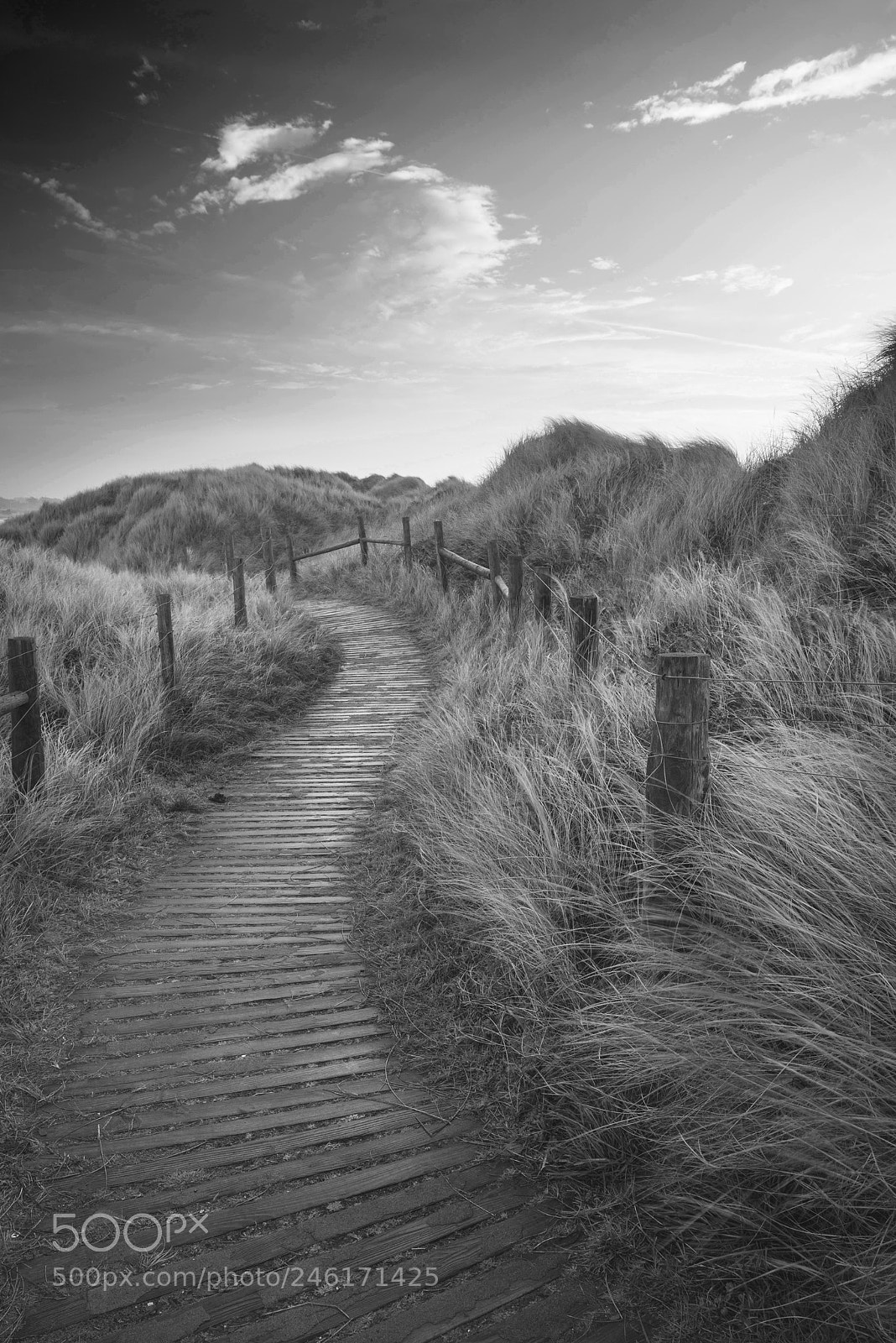 Nikon D800 sample photo. Beautiful black and white photography