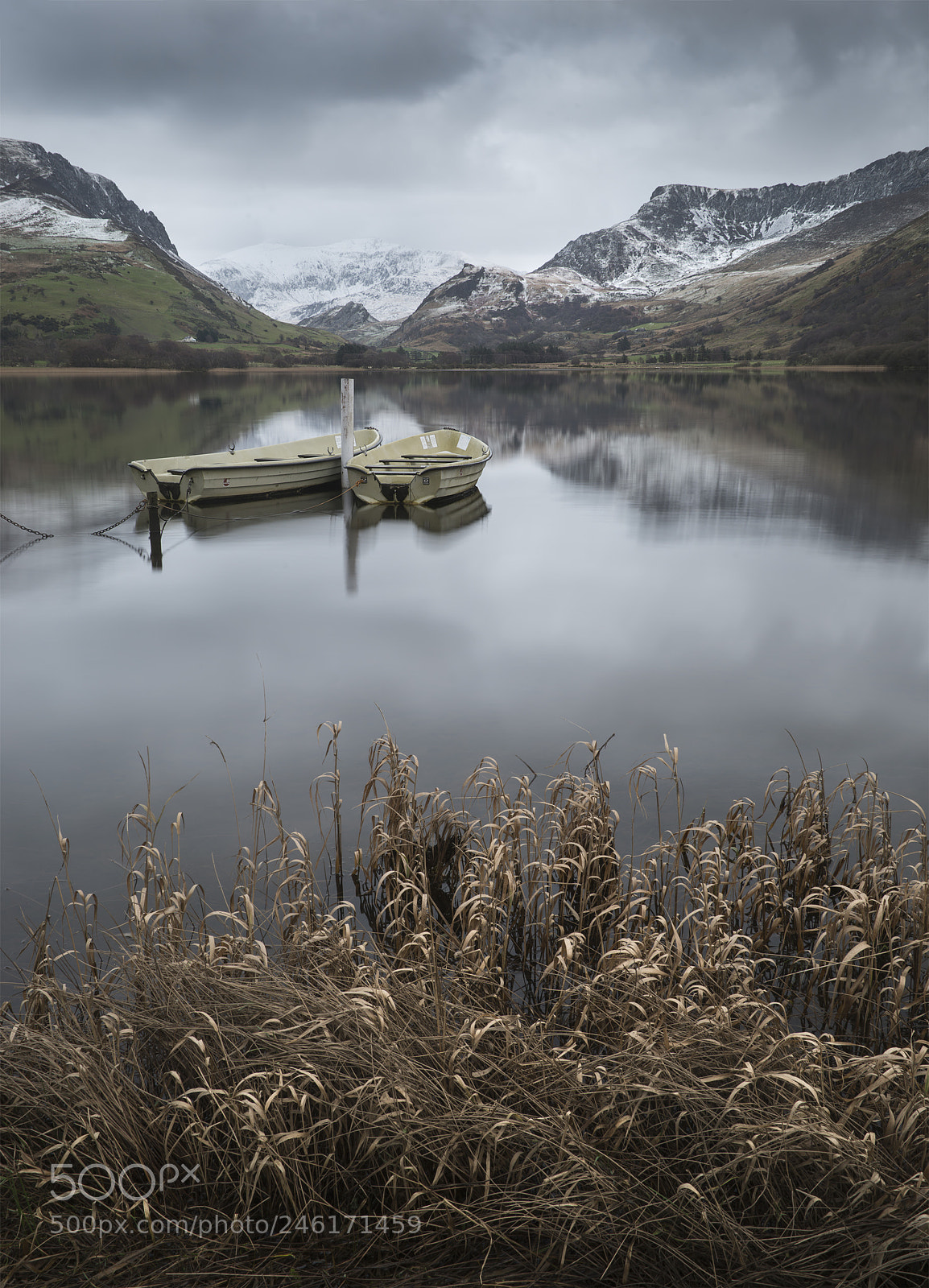 Nikon D800 sample photo. Beautiful winter landscape image photography